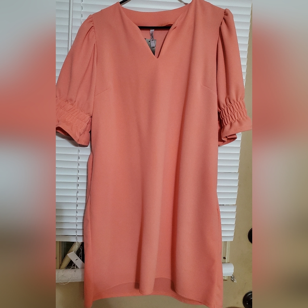 2 Hearts Coral Dress, Large